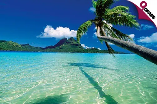 From QR1500 Per Person Explore Pattaya, Thailand for 3 Nights / 4 Days - INCLUDES Sightseeing Tour and Show Tickets! (Up to QR2700 Value)